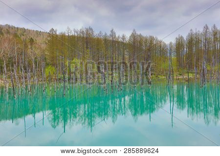 Blue Pond Aoiike ,biei Hokkaido Japan