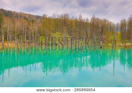 Blue Pond Aoiike ,biei Hokkaido Japan