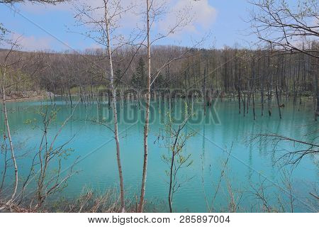 Blue Pond Aoiike In Biei, Hokkaido, Japan
