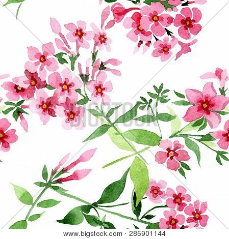 Pink Phlox Foral Botanical Flower. Watercolor Background Illustration Set. Seamless Background Patte