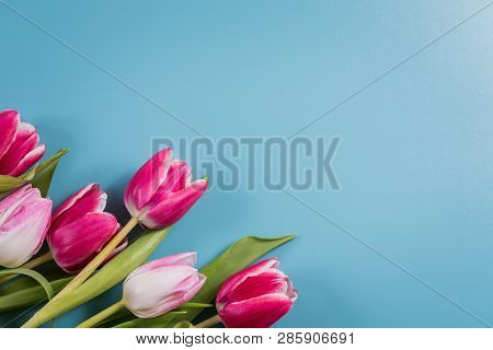 Buket červené A Ružové Jarné Tulipány Na Farebné Pozadie