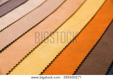 Colorful And Bright Fabric Samples Of Leatherette Furniture And Clothing Upholstery. Close-up Of A P