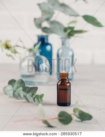 Eucalyptus Essential Oil And Fresh Leaves On The Stone Board