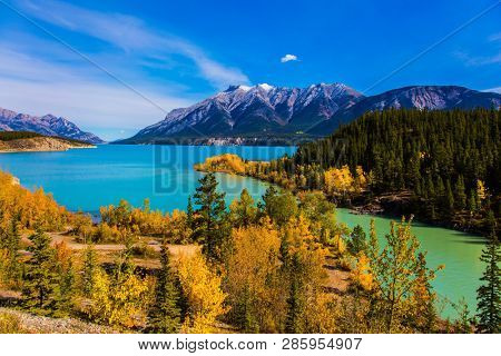 The picturesque Abraham lake in the valley of Canada. The emerald water of the lake is surrounded by evergreen coniferous forests. Concept of active, ecological and photo tourism