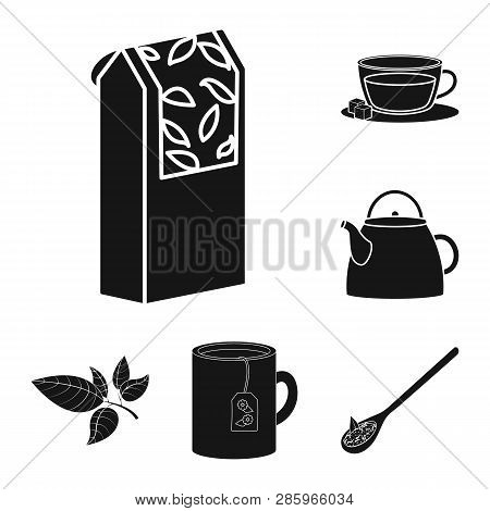 Vector Design Of Medicine And Gradient Icon. Collection Of Medicine And Natural  Stock Vector Illust