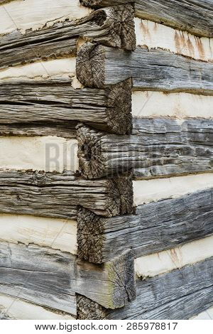 Corner Dovetail Detail On An Old Weathered Log Cabin