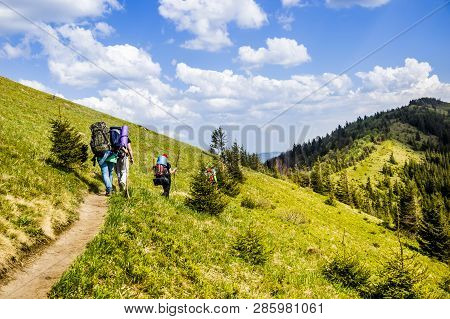 Group Of Tourists Hiking In Carpathian Mountains, National Park Skolevski Beskidy, Lviv Region Of We
