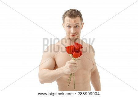 Sexy Man Gives A Rose On White Background With Beautiful Light. Isolated On White Background