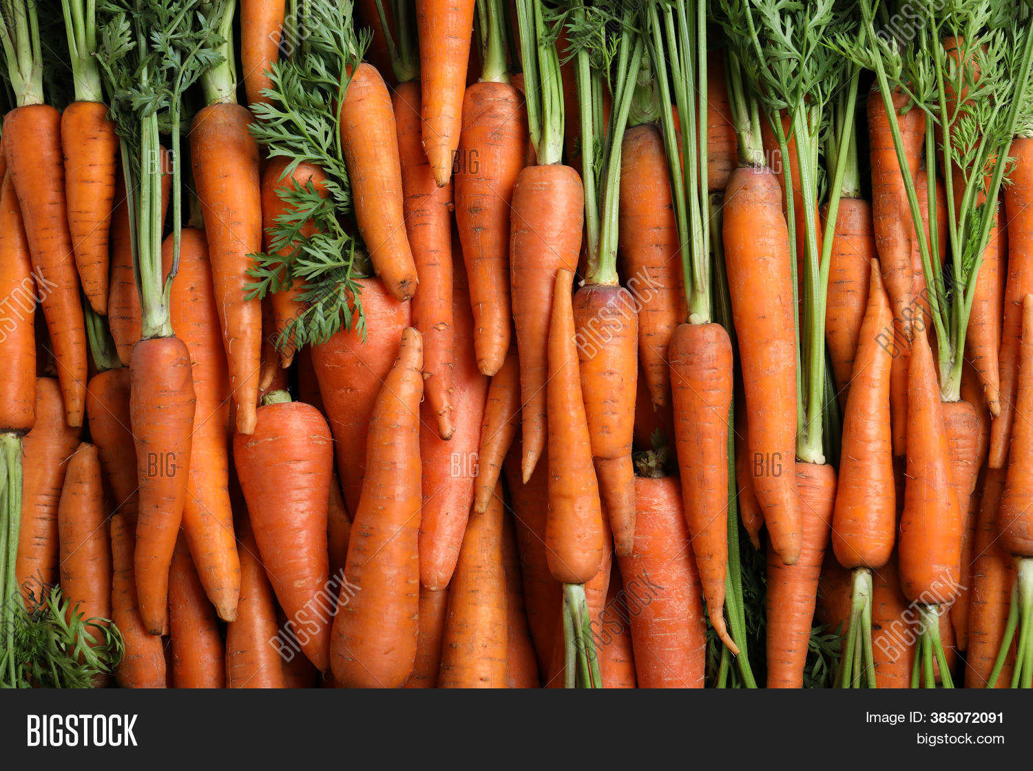 Tasty Raw Carrots Image & Photo (Free Trial) Bigstock