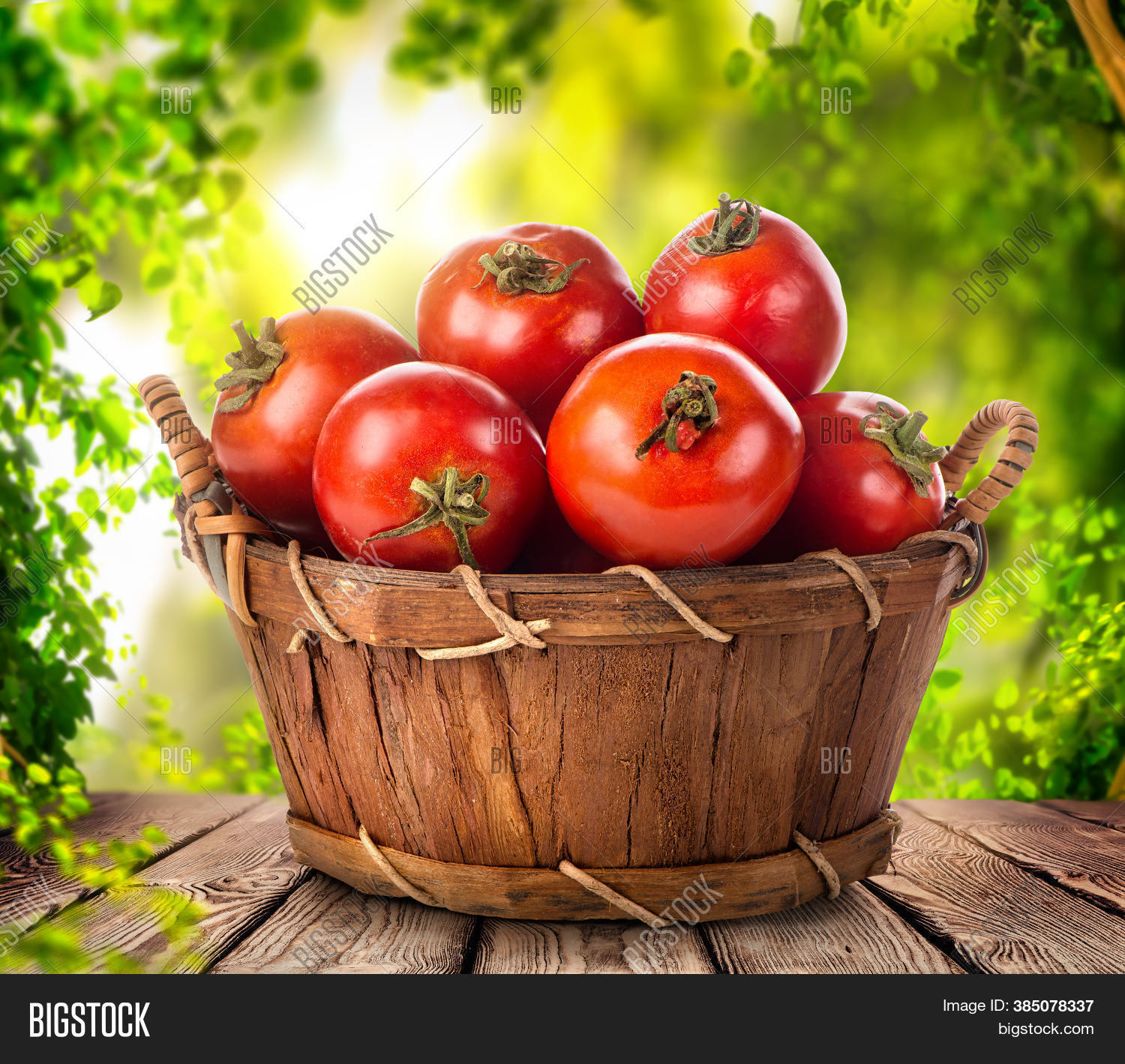 Fresh Tomato Basket On Image & Photo (Free Trial) Bigstock