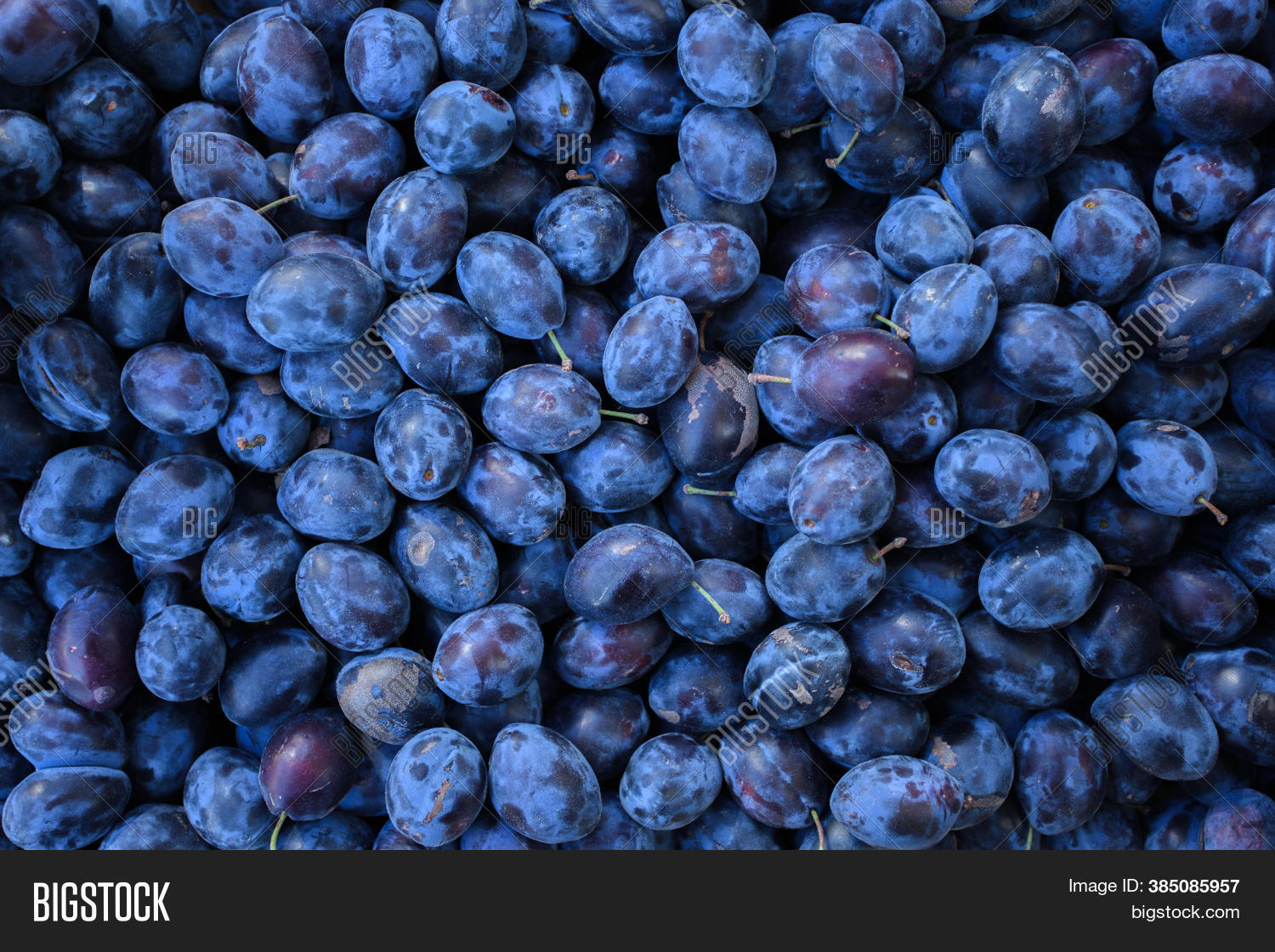 Fresh Ripe Plum On Image & Photo (Free Trial) Bigstock