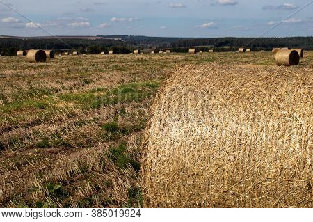 Fragment Of A Roll Of Dried Grass On An Empty Field.