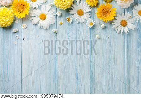 Yellow Rose Flower On White Background, Yellow Rose Close-up. Rose Flower In Nature, Colorful Roses 