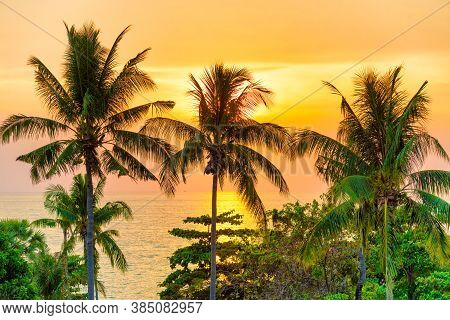 Palm Trees At Sunset