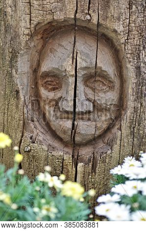 A Face Figure Sculpted Into A Tree Trunk