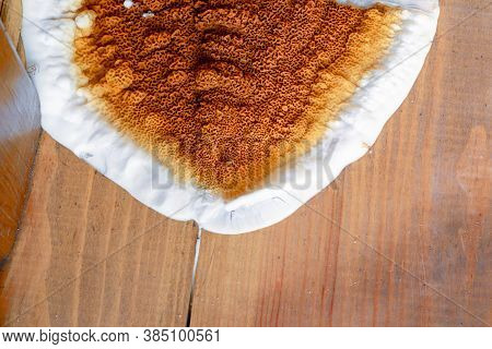 A Large Growing Fungus Serpula Lacrymans On The Walls And Floor Of A Residential Building. It Is The
