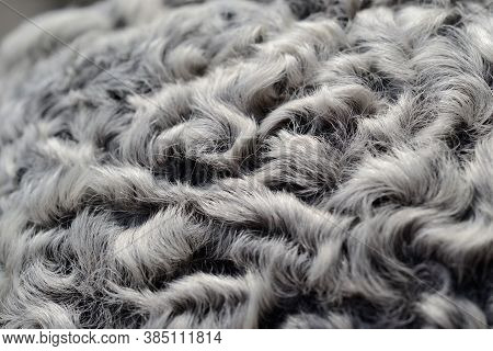Hat Elements From Astrakhan Fur Closeup. Shallow Depth Of Field