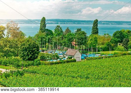 Curtural Landscape With Fruit Plantation Near Hagnau At Lake Constance (germany)