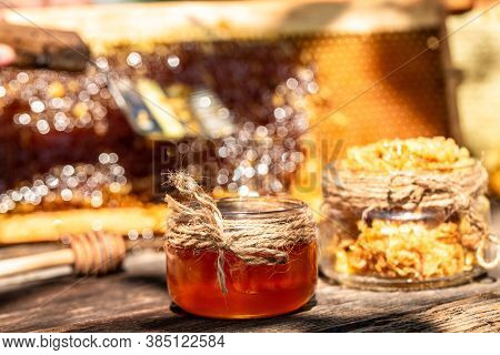 Honey Dipper On The Bee Honeycomb Background. Honey Tidbit In Glass Jar And Honeycombs Wax. Bee Prod
