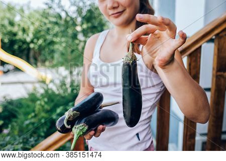 Girl Holding An Eggplant In Her Hands. Healthy Eating, Harvesting.