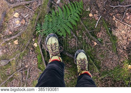 Hiking Boots In Outdoor Action. Top View Of Boot On The Trail. Close-up Legs In Jeans And Sport Trek