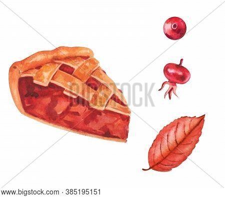 Set Of Autumn Style. Watercolor. Leaves, Pine Cones, Acorns And Berries.