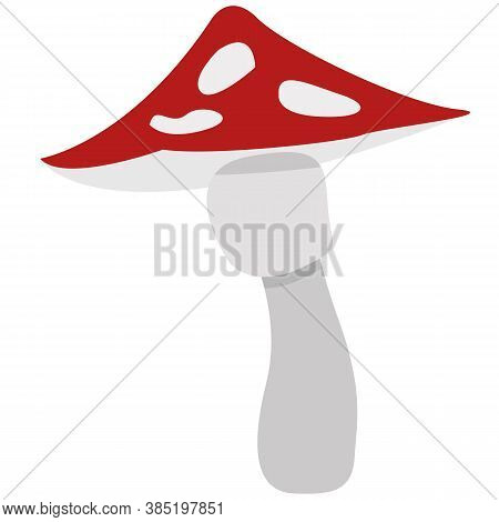 Simple Fly Agaric With A Red Hat On A White Leg