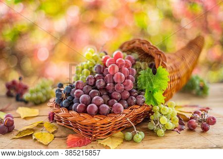 Autumn still life with ripe different grape varieties. Behind the beautiful autumn bokeh.