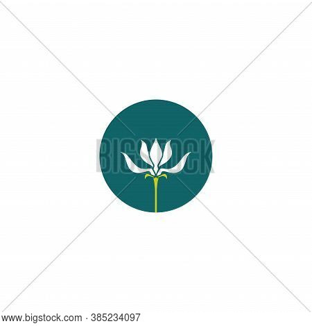 White Snowdrop Flower In Blue Circle. Floral, Eco, Fairy Tale Label. Natural, Organic Symbol.