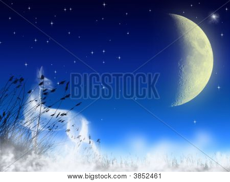 Paysage lunaire