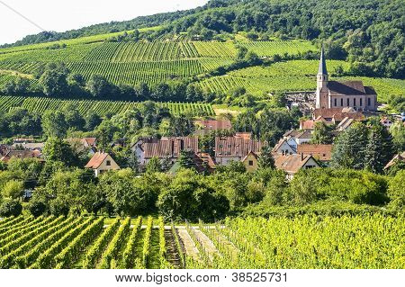 Andlau (Alsazia) - vigneti