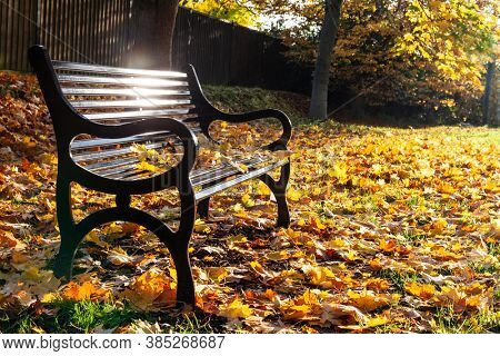 Loss or bereavement concept empty park bench surrounded by trees and golden Autumn or Fall leaves