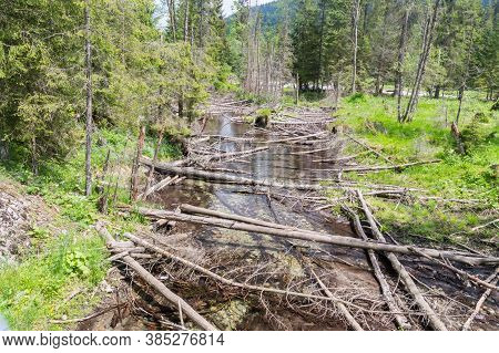 Potok U Lisow Stream In Tatra Mountains.