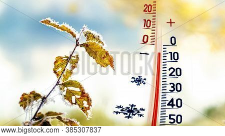 The Thermometer On The Background Of A Snow-covered Tree Branch Shows 5 Degrees Below Zero