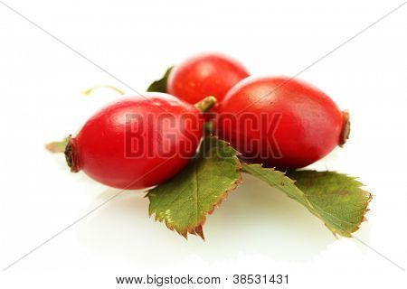 กุหลาบทันสุกบนใบสีเขียว แยกต่างหากบนพื้นสีขาว