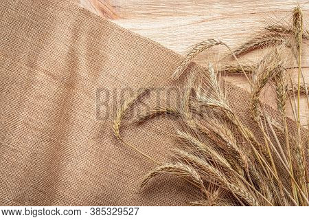Barley Macro. Whole, Barley, Harvest Wheat Sprouts. Wheat Grain Ear Or Rye Spike Plant On Linen Text