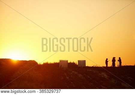 Wide Angle Background Of Cultivated Field In Golden Sunset Light With Silhouettes Of Workers, Copy S