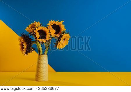 Bright Yellow Sunflowers In Ceramic Vase On A Yellow And Blue Background. Contast Dual Colors Concep