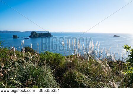 Coastal Outlook From Car Park For Cathedral Cove Walk At Hahei Coromandel New Zealand With Pampas Gr