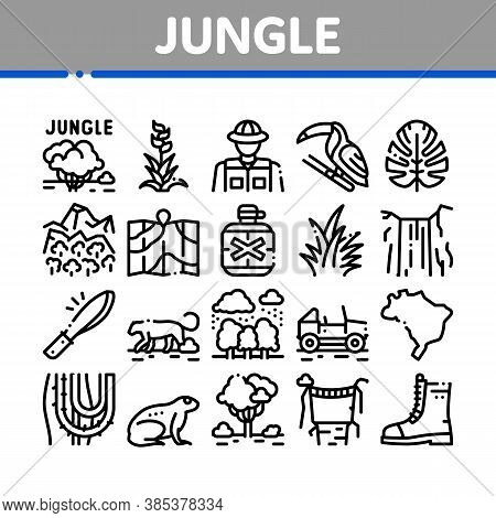 Jungle Tropical Forest Collection Icons Set Vector. Jungle Tree And Animal, Waterfall And Wood, Flow