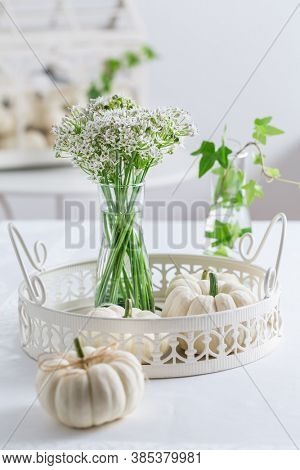 Thanksgiving table decoration with white pumpkins and sweet garlic flowers (Tulbaghia violacea)