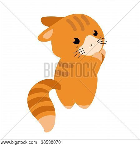 Cute Vector Kitten, Cat On An Isolated White Background. A Kawaii Style Cartoon Character.  Sweet Zo
