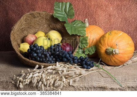 Autumn Still Life With Fruits And Vegetables. Pumpkin, Apple, Grape And Herb. Thanksgiving Day