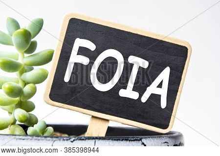 Small Black Chalk Board In A Pot With Succulents Inscribed In White Letters Word Foia Freedom Of Inf