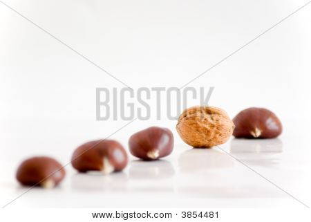 Trockenfrüchte