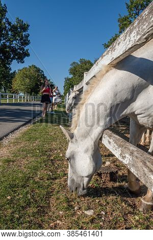 Lipica, Slovenia - September 8, 2020: Lipica Is One Of The Main Tourist Centers Of Slovenia's Karst 