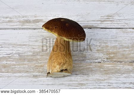 Porcini Mushroom On A Wooden Vintage Table, Top View