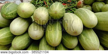 Testy And Healthy Fresh Cucumber On Tree And Cucumber Stock