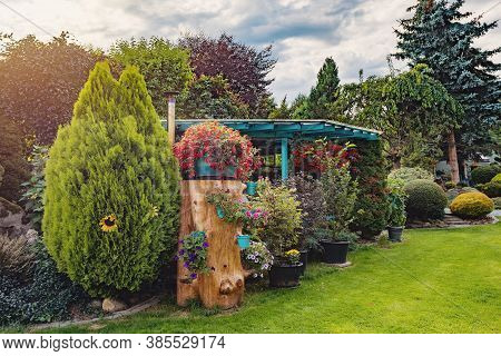 Beautiful Summer Garden With Conifer Trees, Green Grass And Evening Sun. Cut Grass, Professional Lux