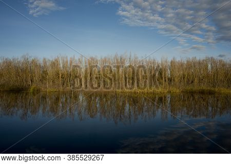 Psel River And Deciduous Forest, Panoramic Landscape. Autumn Season. Web Banner. Ukraine. Europe.